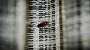 A bug crawls across a screen, raising the questions about how to prevent bugs from coming through your air conditioner vents