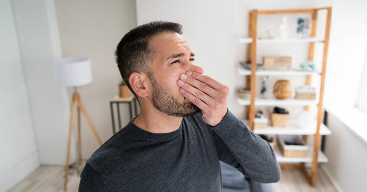 Dealing With Rodents In Air Ducts
