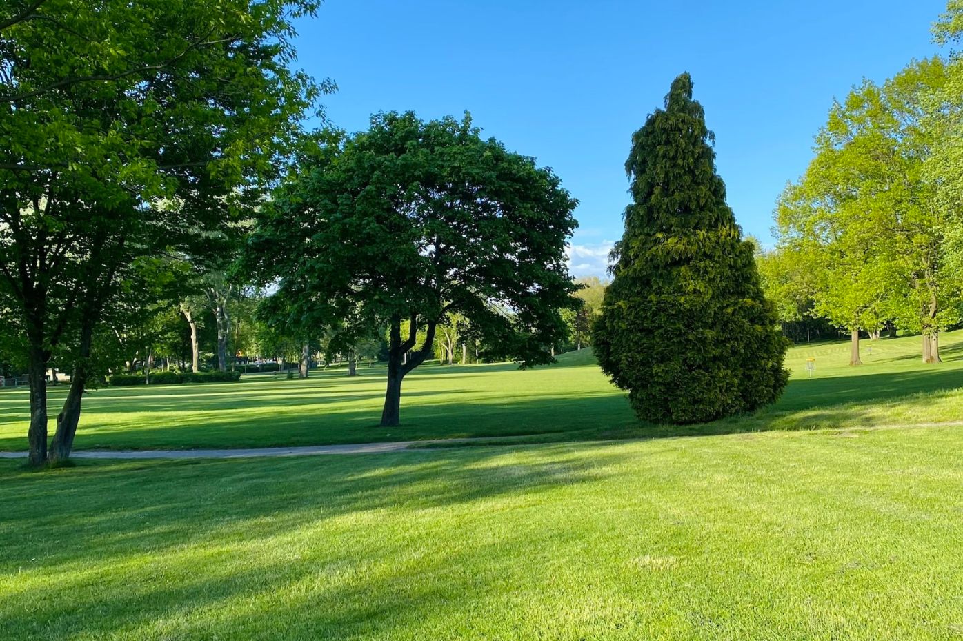 13601 Preston Road Suite W860, Dallas, TX 75240