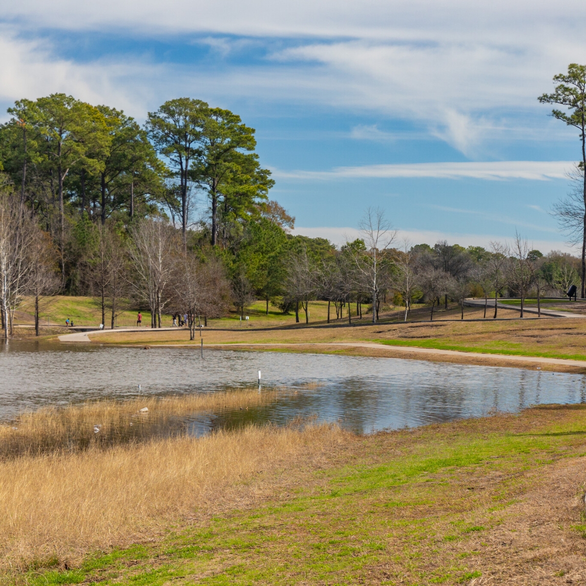 13601 Preston Road Suite W860, Dallas, TX 75240