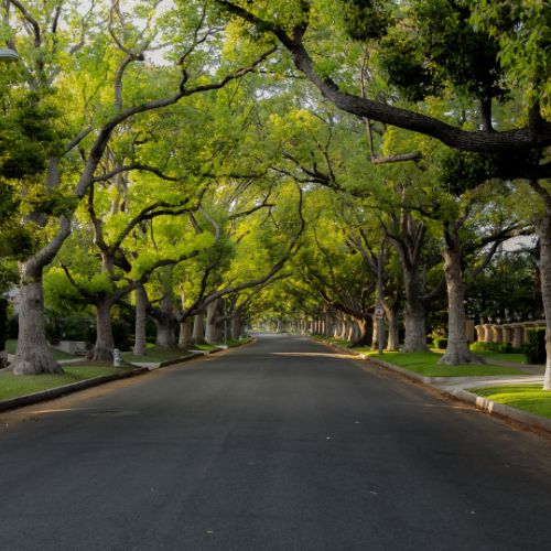 13601 Preston Road Suite W860, Dallas, TX 75240