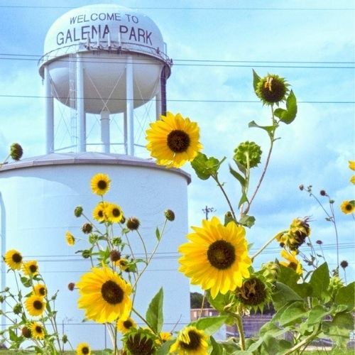 13601 Preston Road Suite W860, Dallas, TX 75240