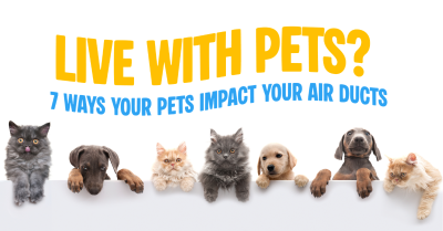 Do Your Pets Trigger More Frequent Air Duct Cleaning?