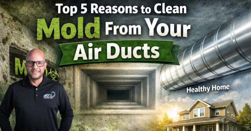 Top 5 Reasons to Clean Mold From Your Air Ducts