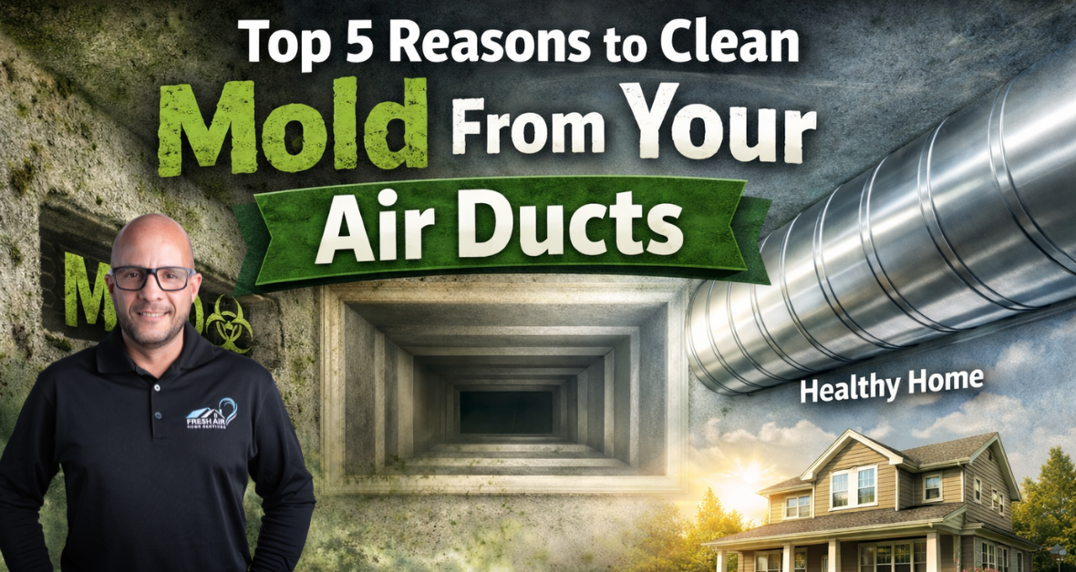 Top 5 Reasons to Clean Mold From Your Air Ducts