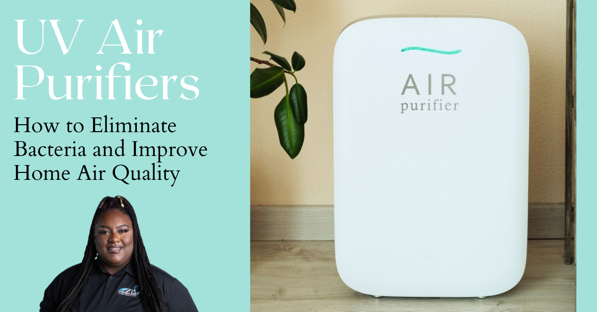 How UV Air Purifiers Eliminate Bacteria and Improve Home Air Quality